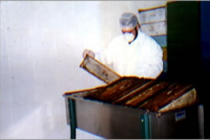 Mel produzido em Vitória da Conquista classificado como o melhor da Bahia. Mel produzido em Vitória da Conquista classificado como o melhor da Bahia.